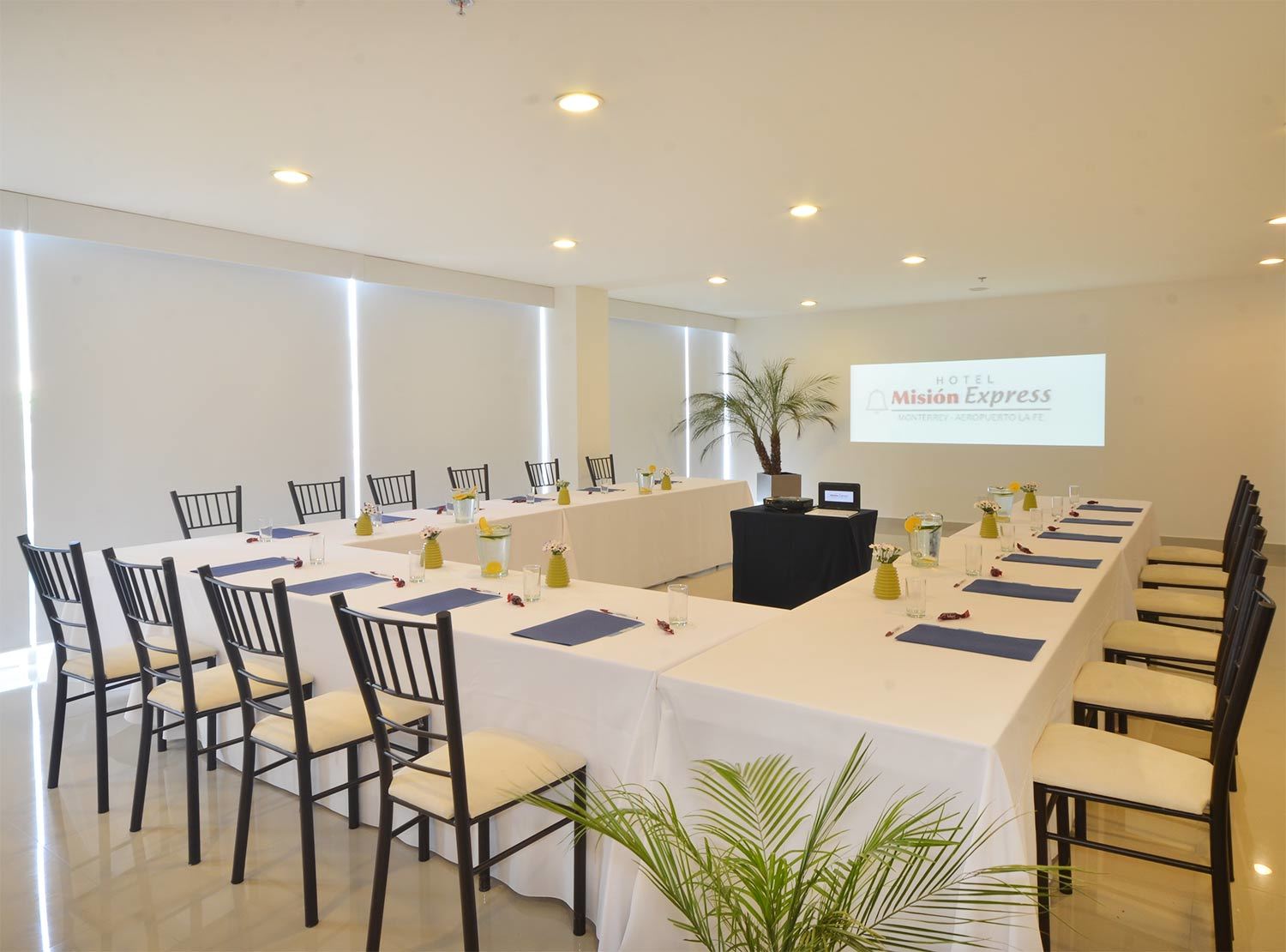 Mision Express Monterrey Aeropuerto La Fe Hotel Apodaca Eksteriør billede